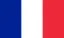 France International Page - Flag