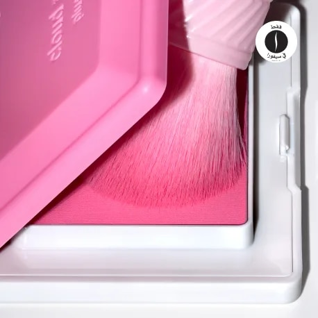 Glossier - Cloud Paint Plush Blush = Sephora